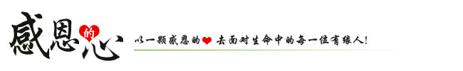 新宇軟管